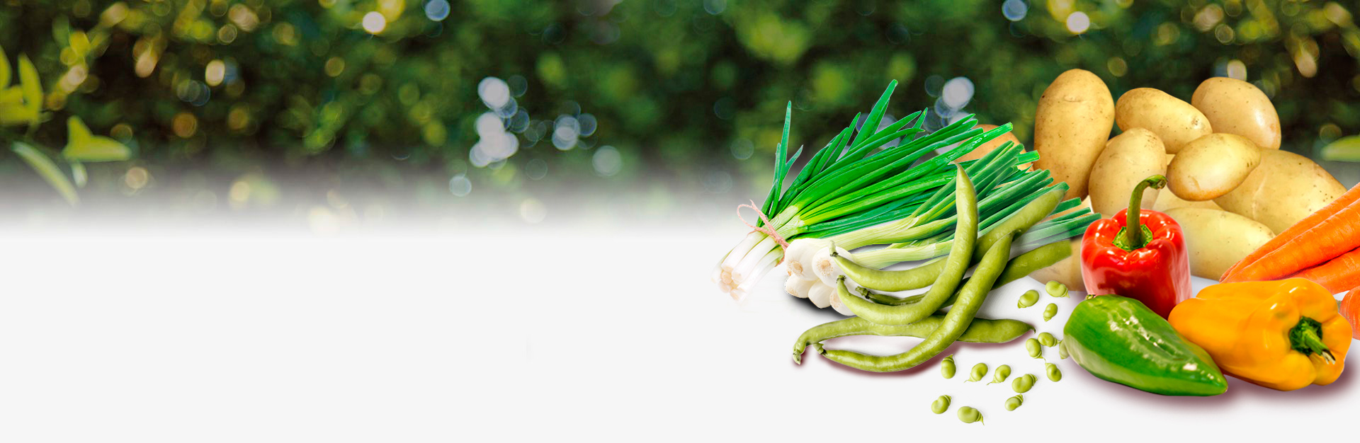 Verduras de la huerta