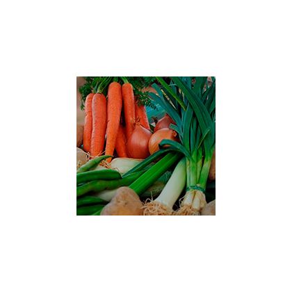 Cesta de verduras directas del campo 200x200
