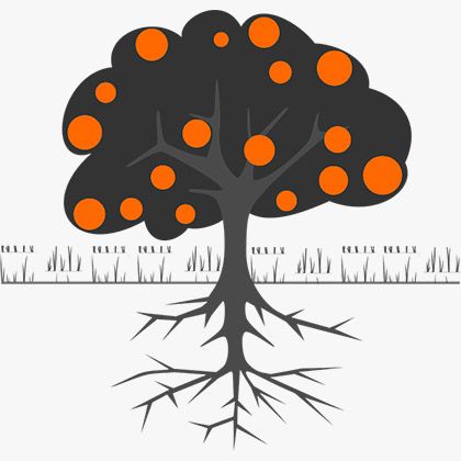 Own Roots - Apadrina un árbol