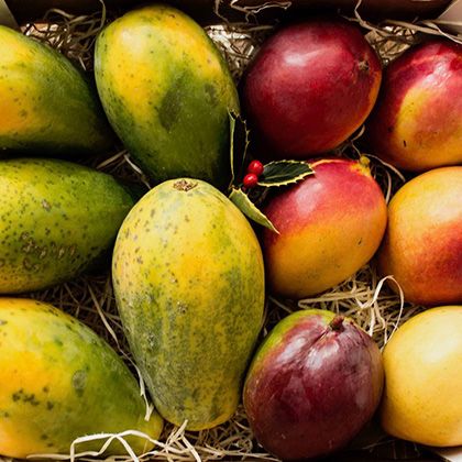 Caja de mangos Sensación y papayasde 4kg.