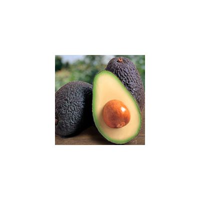 Añade 1kg. de aguacates Hass a tu pedido