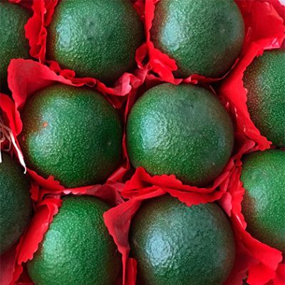 Aguacates piel lisa (fuerte). Caja de 4,5kg. (8,49€/kg.)