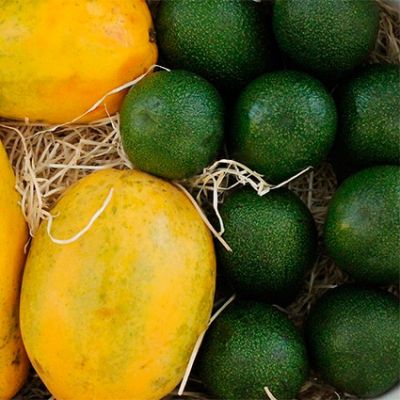 Aguacate Liso Reed y Papaya. Caja de 4kg.