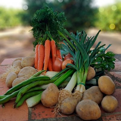 Cesta de verduras 9 productos