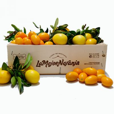 Kumquats y Limequats LaMejorNaranja
