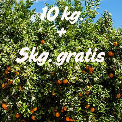 Naranjas Sin Seleccionar 10 Kilos + 5kg. gratis