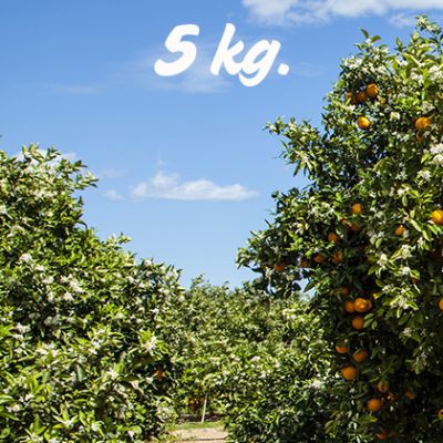 Naranjas Sin Seleccionar 5 Kilos