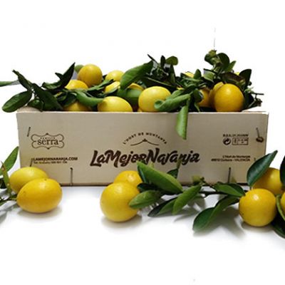 Limequats LaMejorNaranja