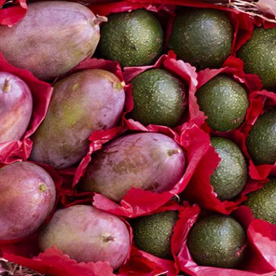 Caja de mangos y aguacates de 4,5kg.