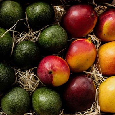 Caja de mangos Sensación y aguacates de 4,5kg.