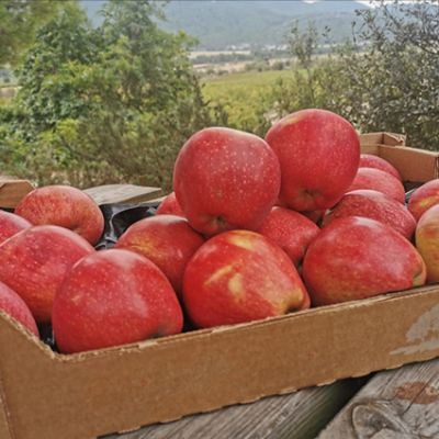 Caja de 4kg. de Manzanas Red Delicious
