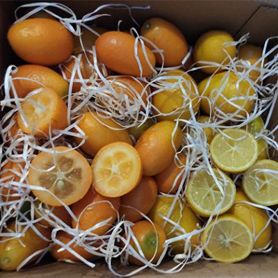 Caja de 1,5kg. de Kumquats + 1,5kg. de Limequats