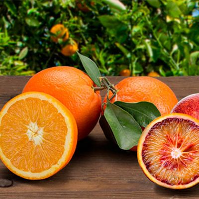 10kg. Naranjas de Mesa + 5kg. Sanguinas
