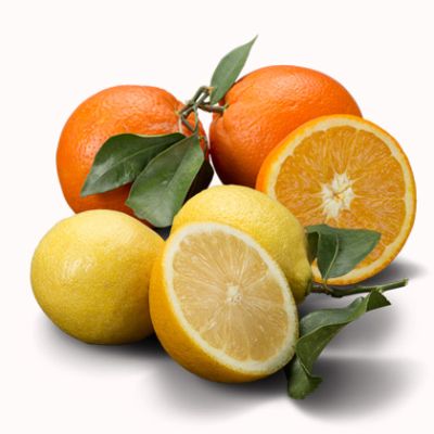 Naranjas de mesa 15kg. + 1kg. Limones GRATIS!