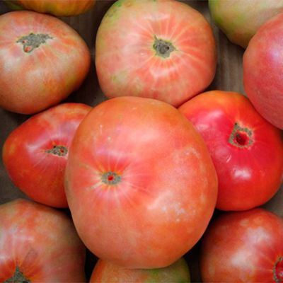 Tomate Valenciano variedad Óptima. 3kg.