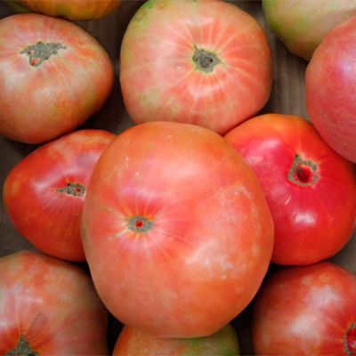 Tomate Valenciano 5kg.