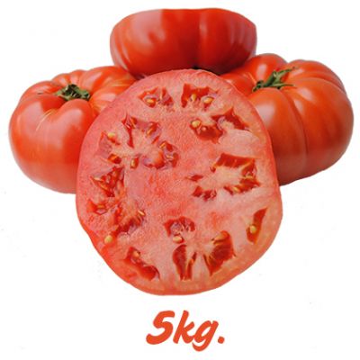Caja de 5kg. de Tomates de Navarra