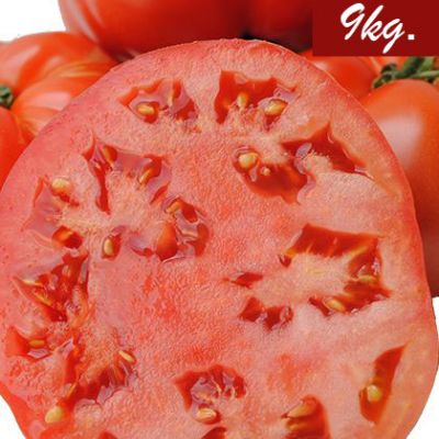 Caja de 9kg. de tomates de Navarra. Variedad Jack.